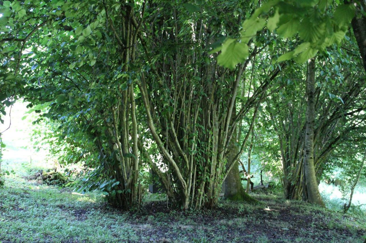 Du Cote De Lacoume Anla Bagian luar foto