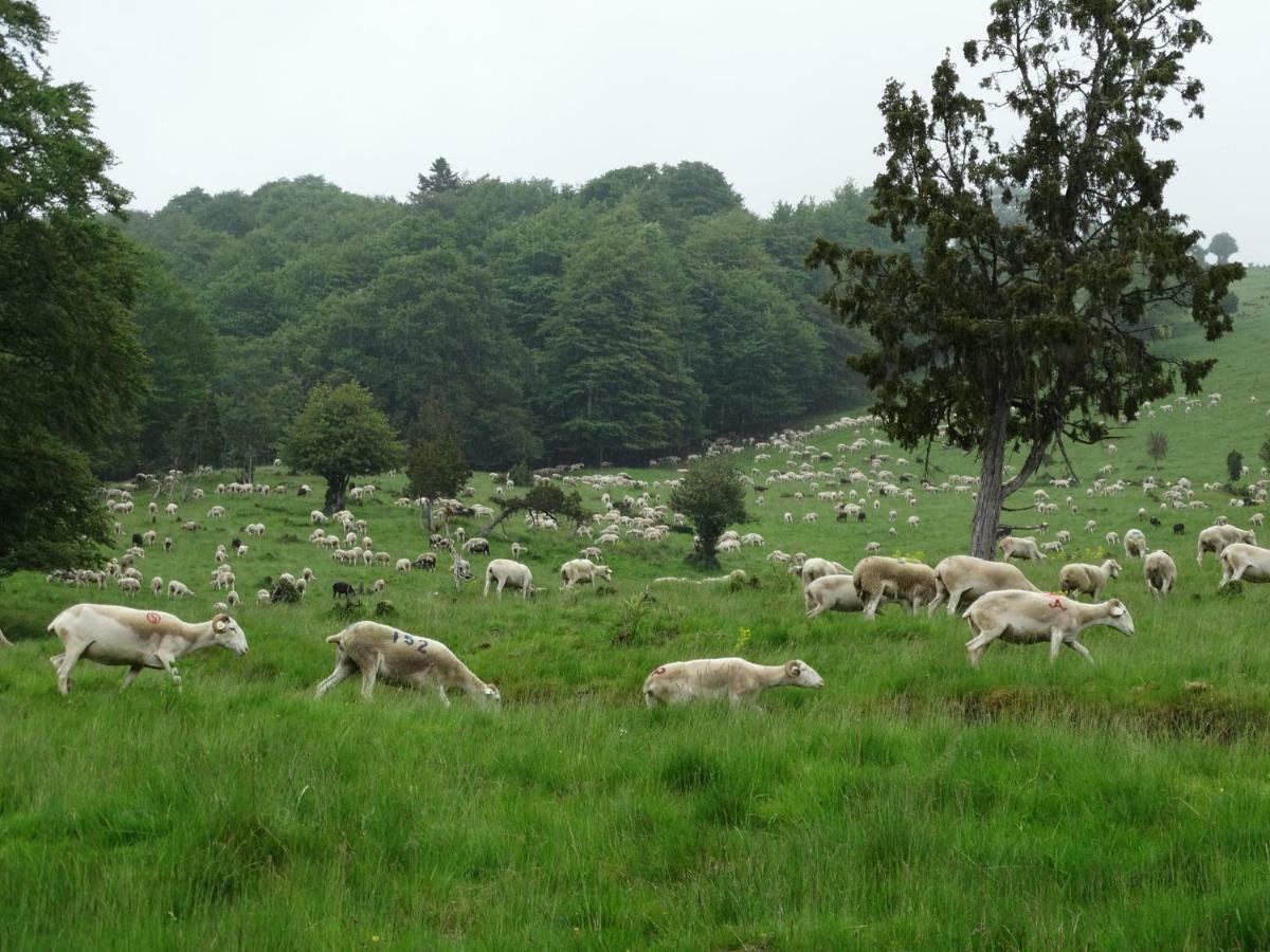 Du Cote De Lacoume Anla Bagian luar foto